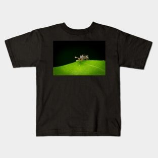 An unique looking Stalk-eyed fly (Diopsidae) Kids T-Shirt